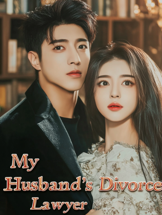 My Husband's Divorce Lawyer